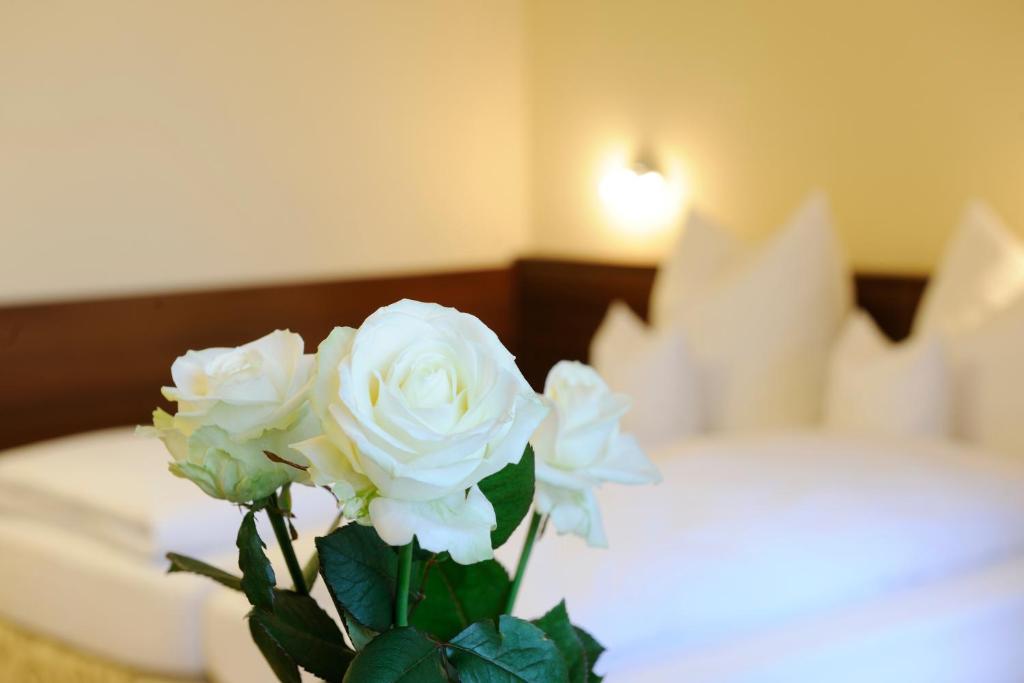 Hotel Inspiration Garni 티트모닝 객실 사진